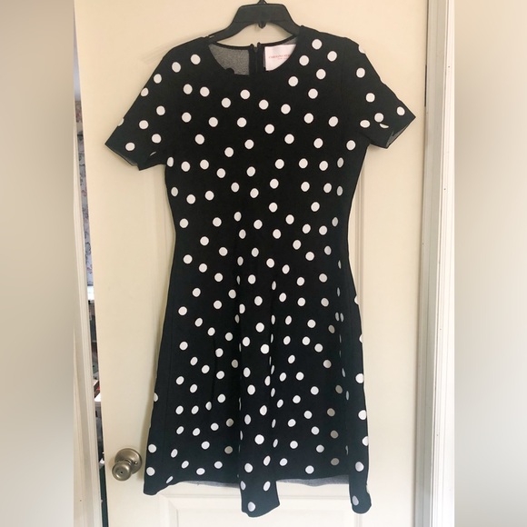 Carolina Herrera Polka Dot Fit-&-Flare Dress - Picture 8 of 16